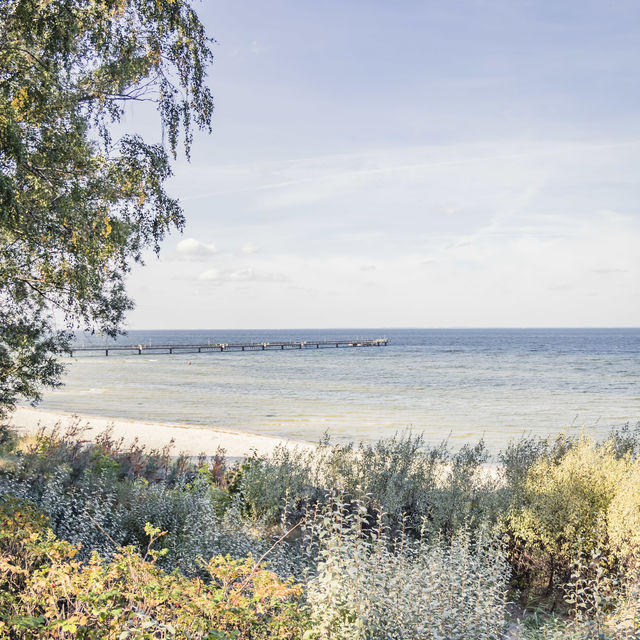 Bay of Greifswald 