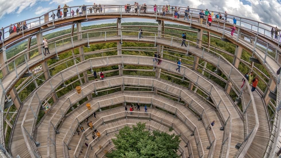 In the middle of the observation tower is a 30-metre-high, 85-year-old copper beech.