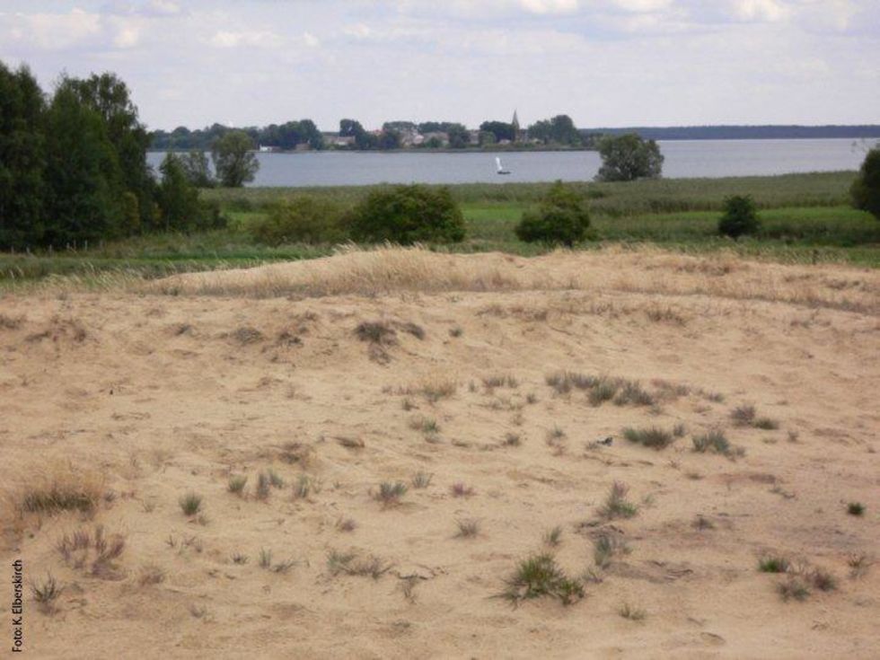 Altwarper inland dune - view of Neuwarp