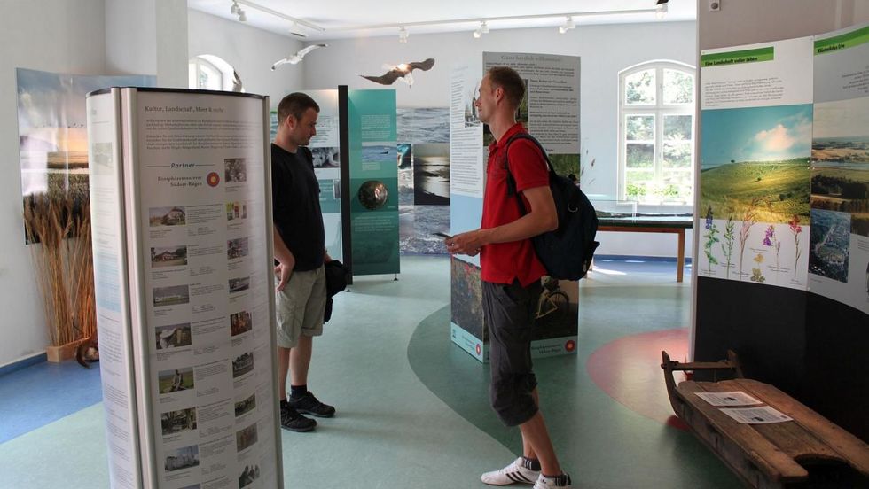 In der Ausstellung des Biosphaerenreservats Südost-Rügen
