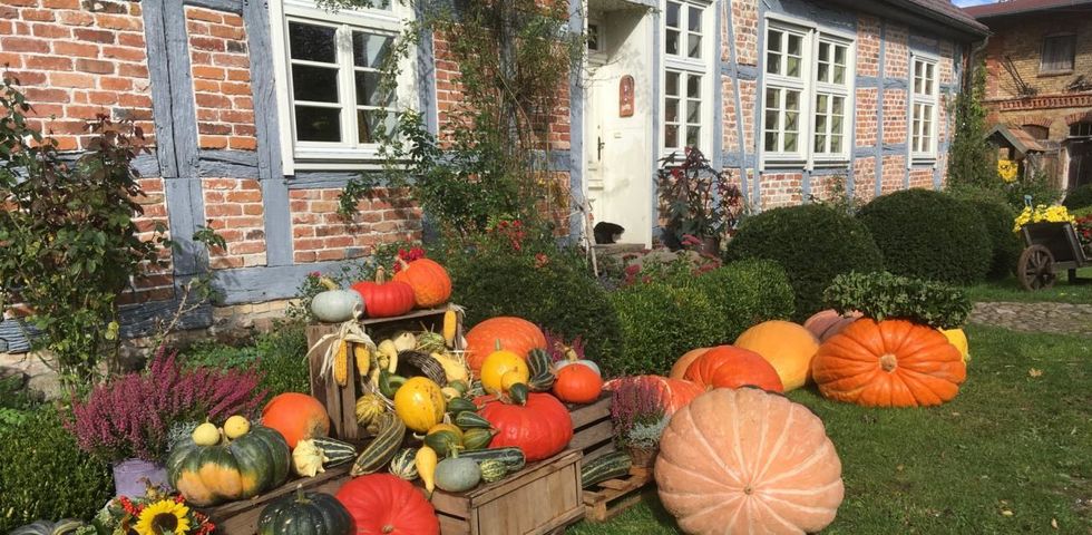 Manor Alt-Guthendorf Pumpkin Festival