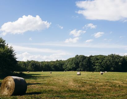 Feldlandschaft, blauer Himmel, im Hintergrund ist Wald. Auf dem Feld liegen mehrere Strohballen