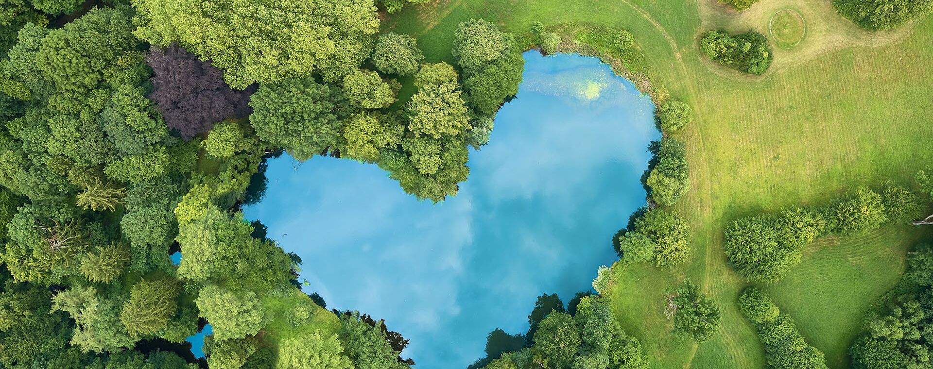 Luftaufnahme von einem Herzförmigen See, umrandet von Bäumen und Wiese