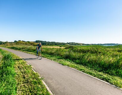Ein älterer Mann fährt mit einem gelben Fahrrad über einen Fahrradweg umgeben von Natur.