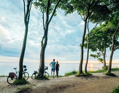 Das Bild wurde im Gespensterwald an der Ostsee aufgenommen. Im Bild steht ein Paar an der Küste zwischen Bäumen und blickt auf die Ostsee. Neben ihnen, am Baum angelehnt, stehen ihre Fahrräder