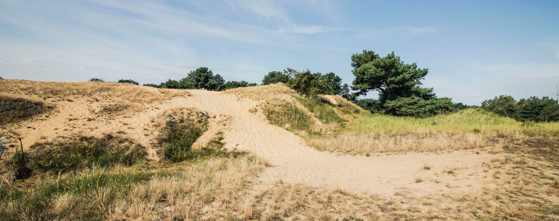 Sanddüne bei Altwarp