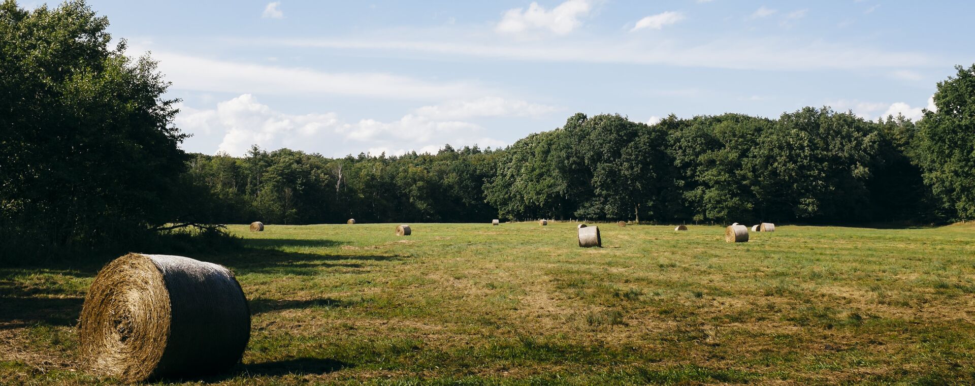 Feldlandschaft, blauer Himmel, im Hintergrund ist Wald. Auf dem Feld liegen mehrere Strohballen
