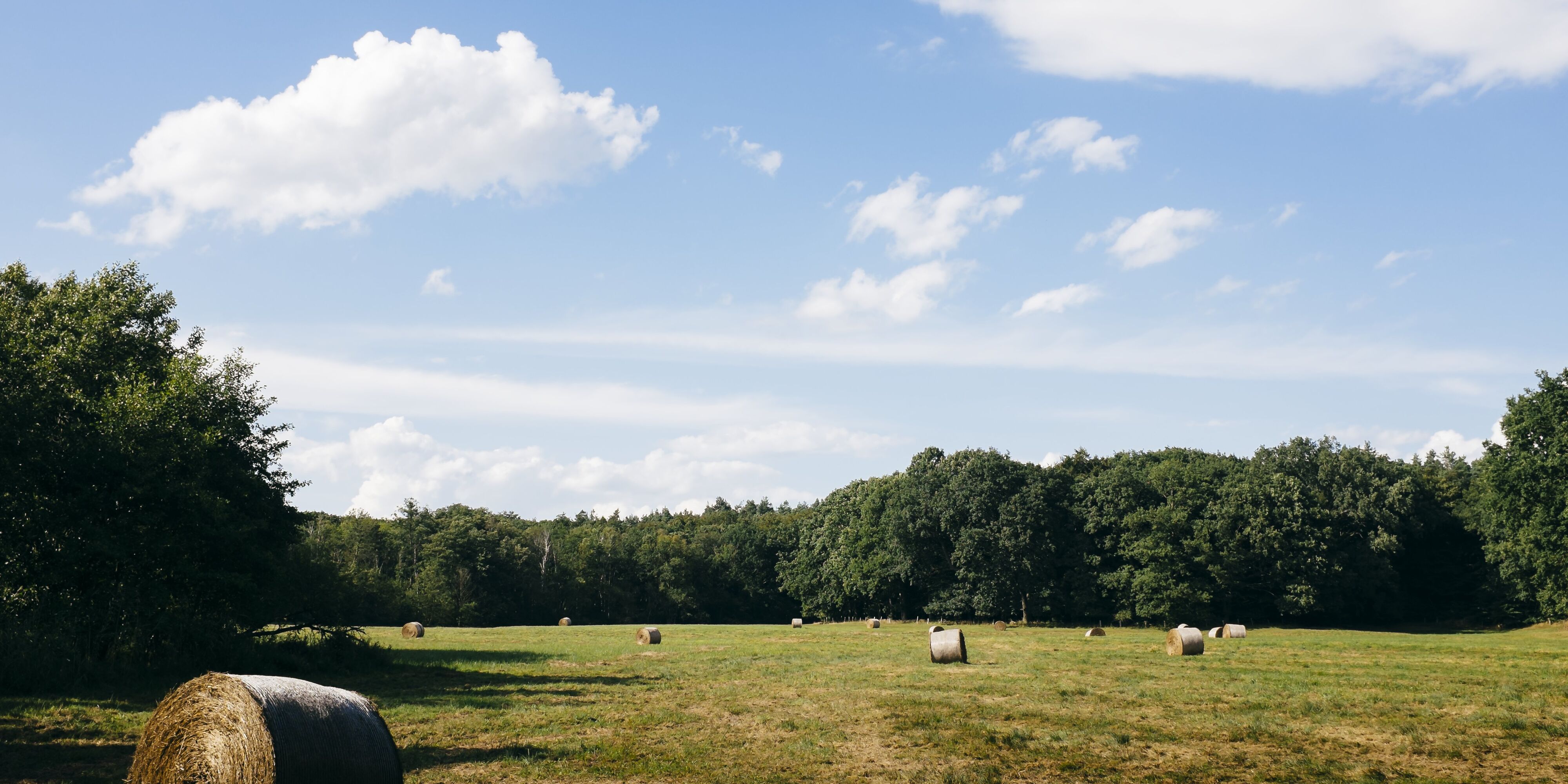 Feldlandschaft, blauer Himmel, im Hintergrund ist Wald. Auf dem Feld liegen mehrere Strohballen
