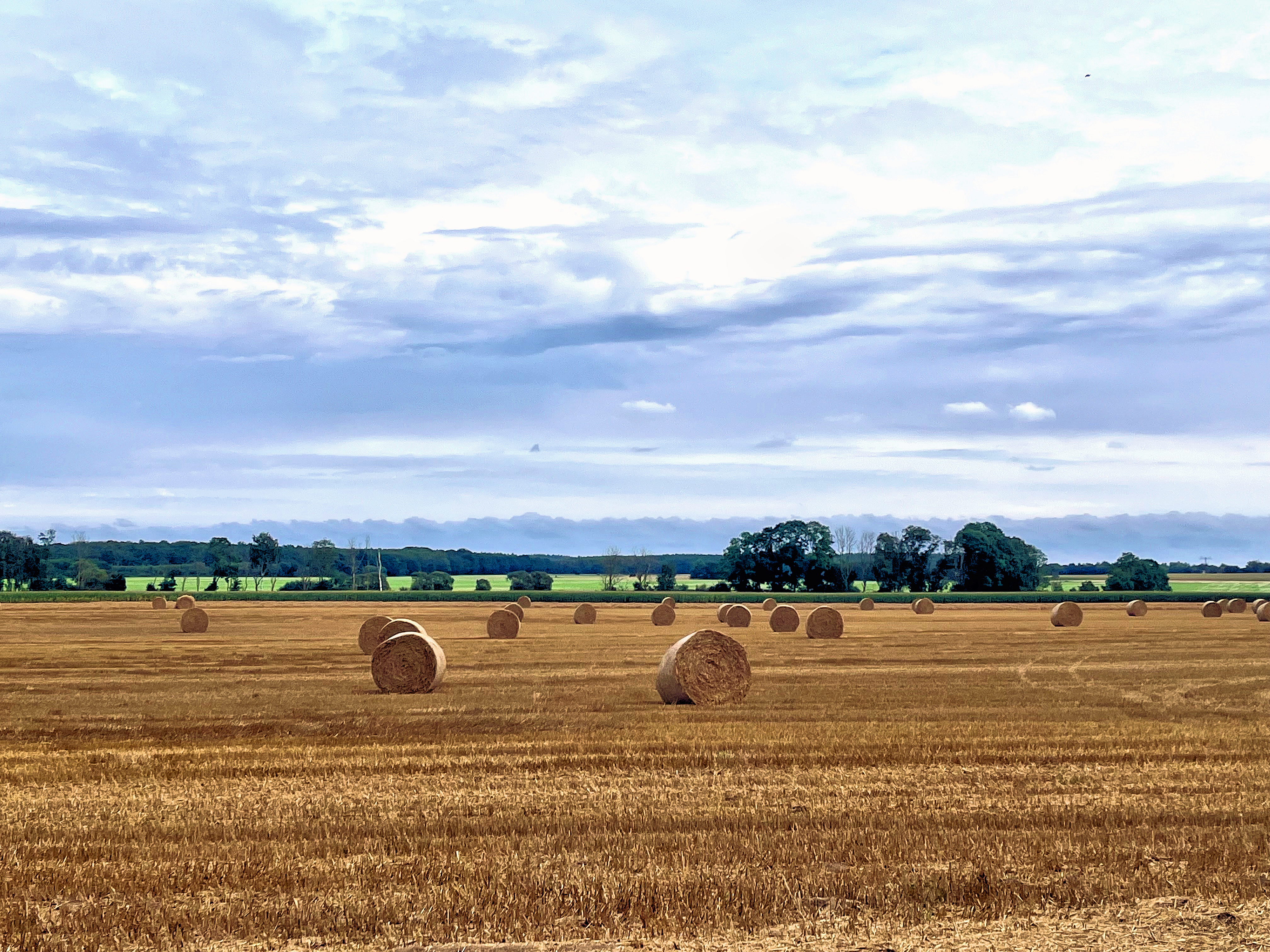 Blick auf ein Feld mit Strohballen