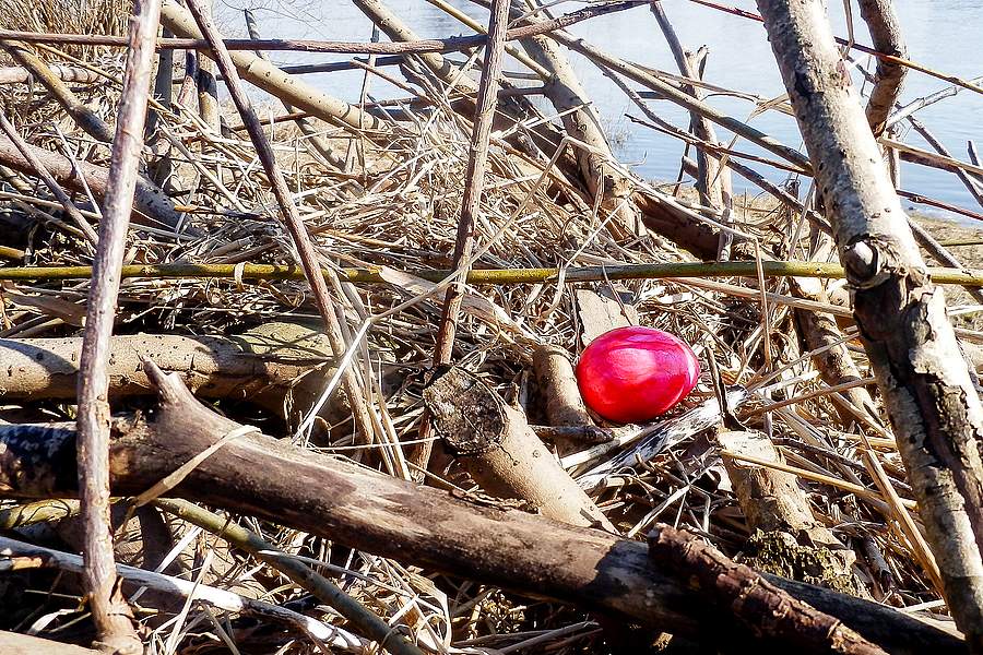 Osterferien-Programm am Königsstuhl