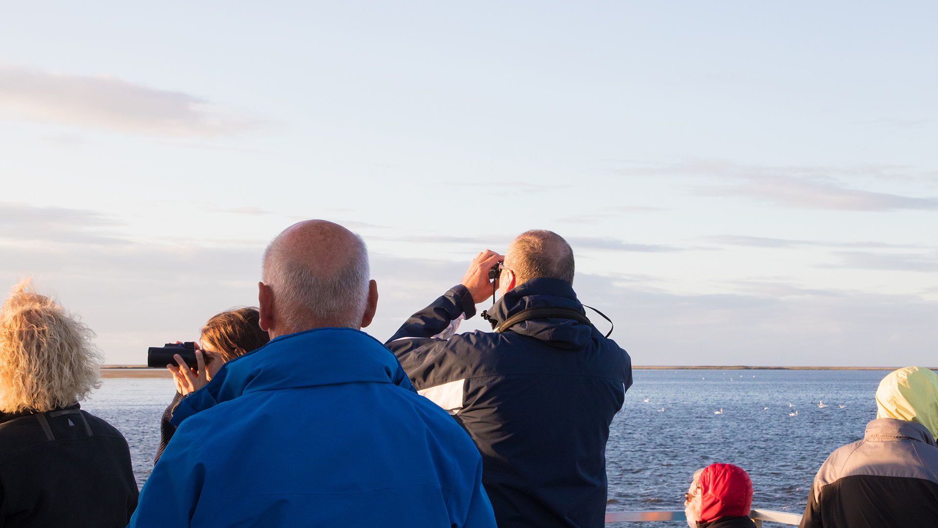 Kleine Kranichtour ab Hafen Zingst