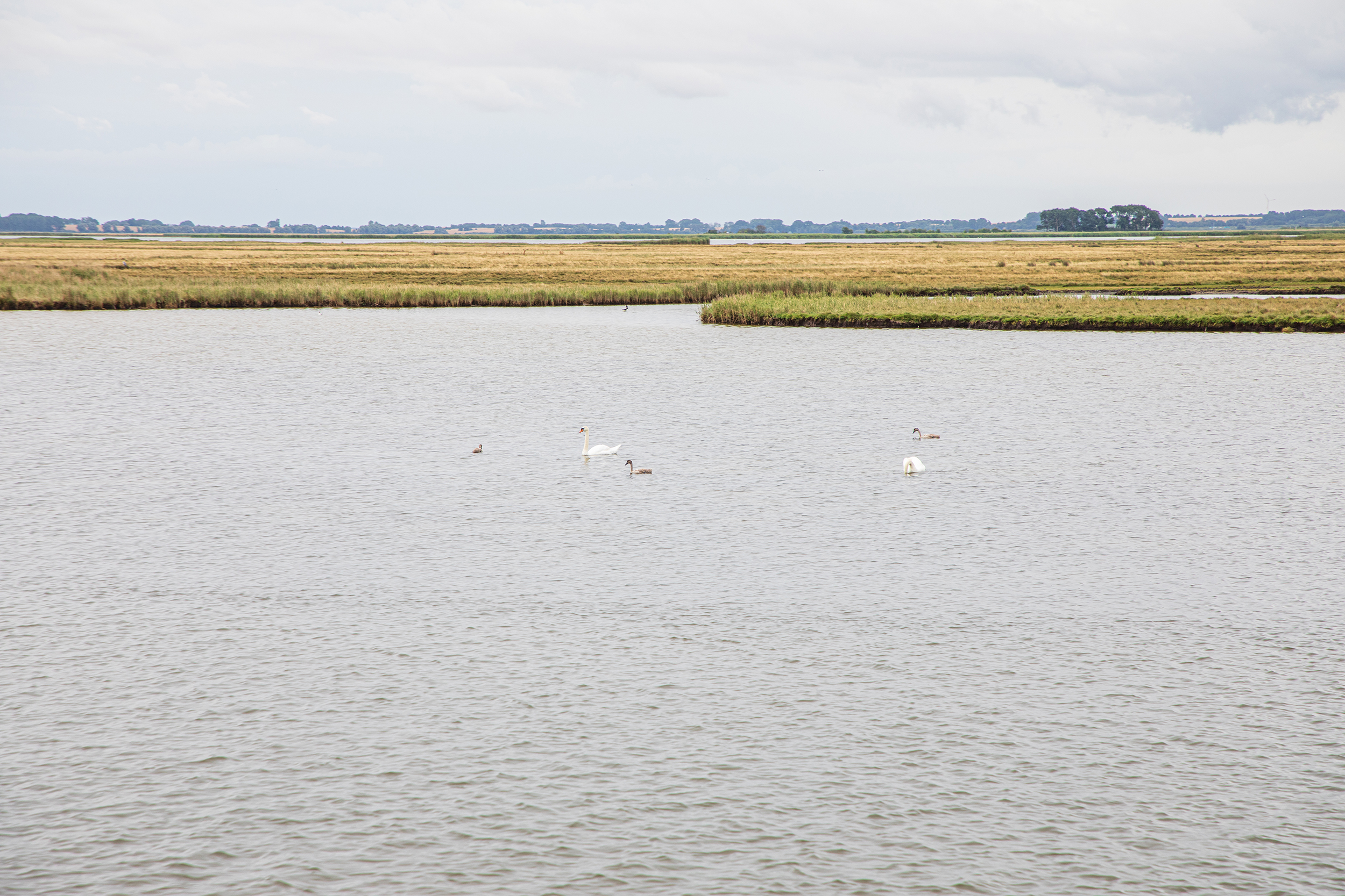 Boddenrundfahrt ab Hafen Zingst