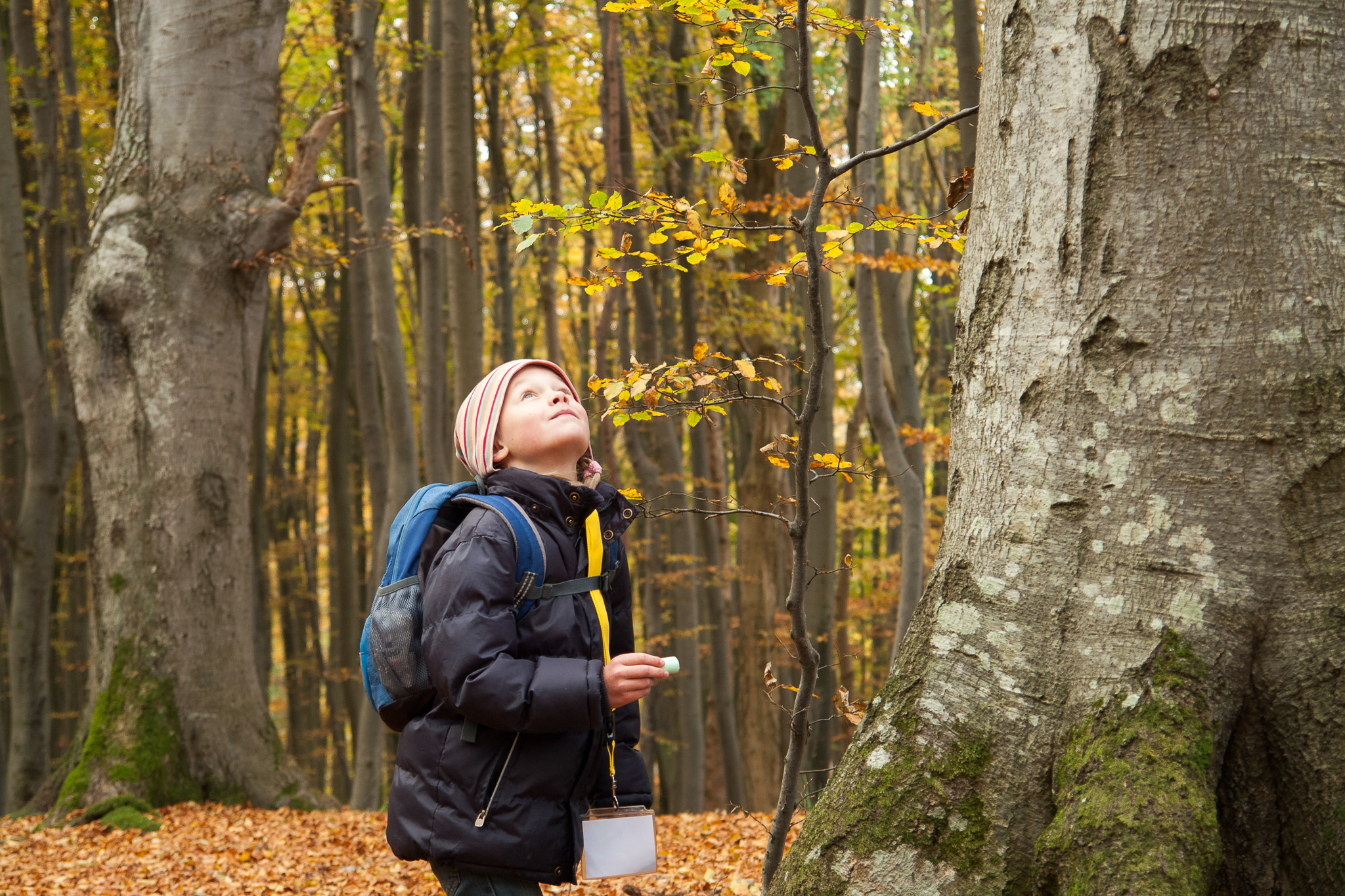 Herbstlicher Familien-Spaziergang "Natur im Energiesparmodus"