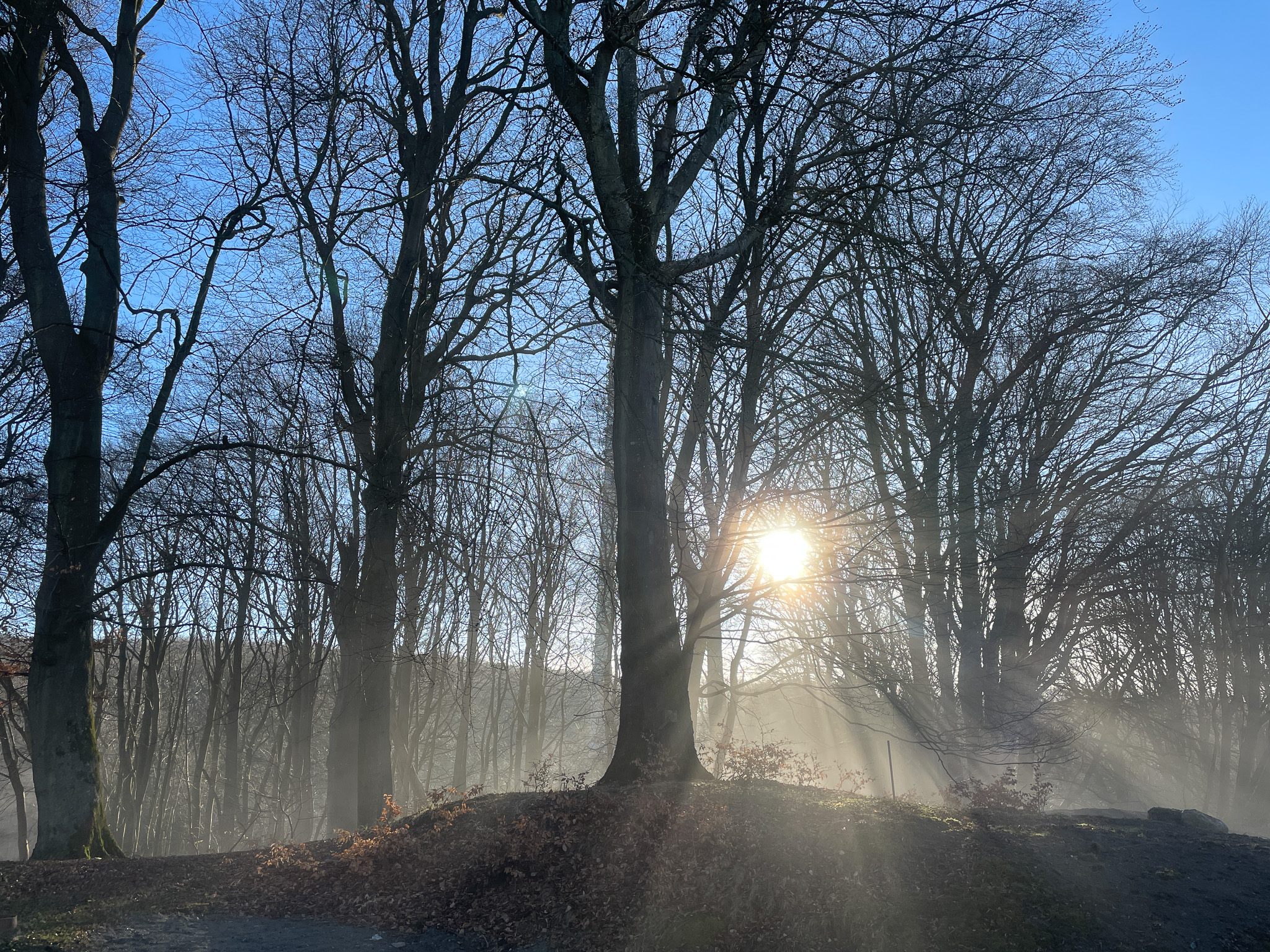 Waldbaden für Frauen am Frauentag 