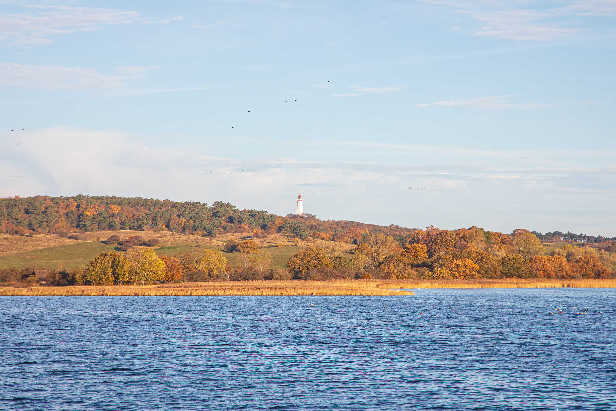 Erleben Sie auch am Wochenende die Insel Hiddensee