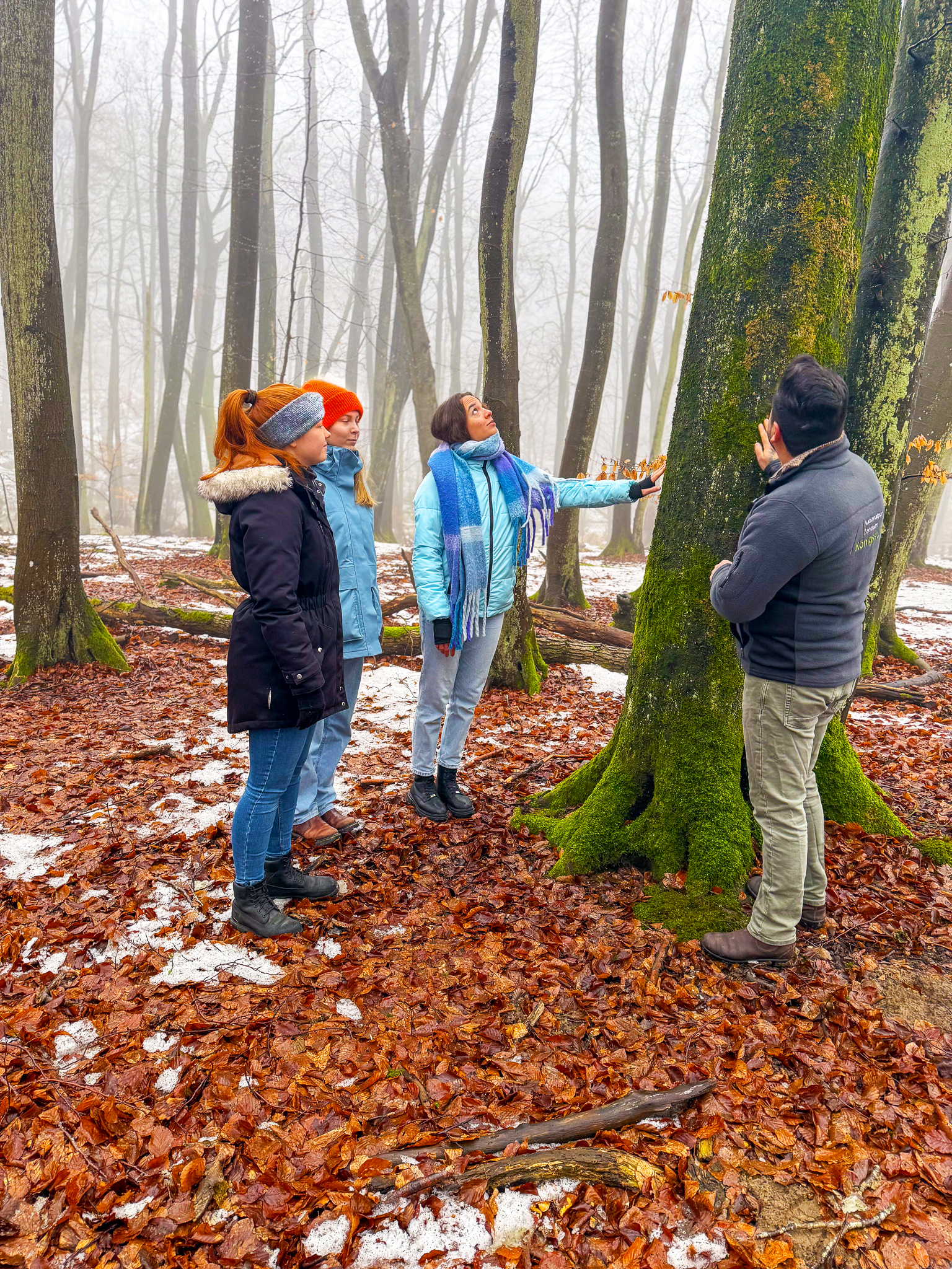 Waldbaden im Nationalpark Jasmund 