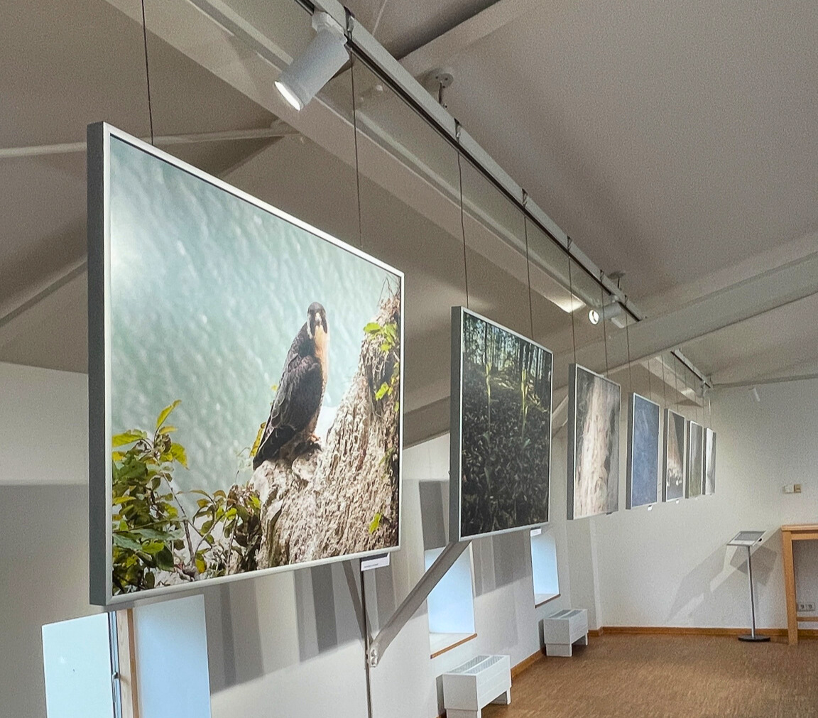 Fotoausstellung: Jürgen Reich "Lebensraum.Kreide"