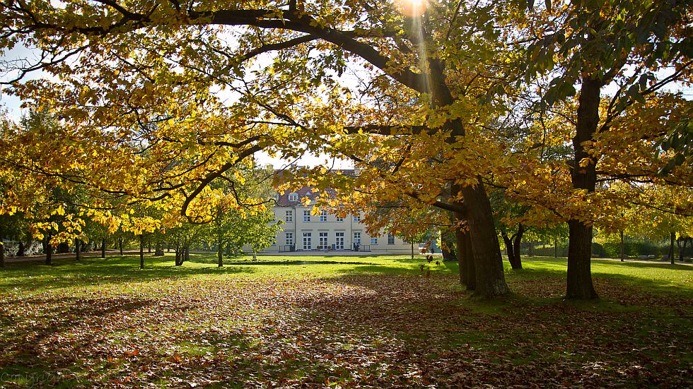 Schlösserherbst-Menü im Schloss Rattey