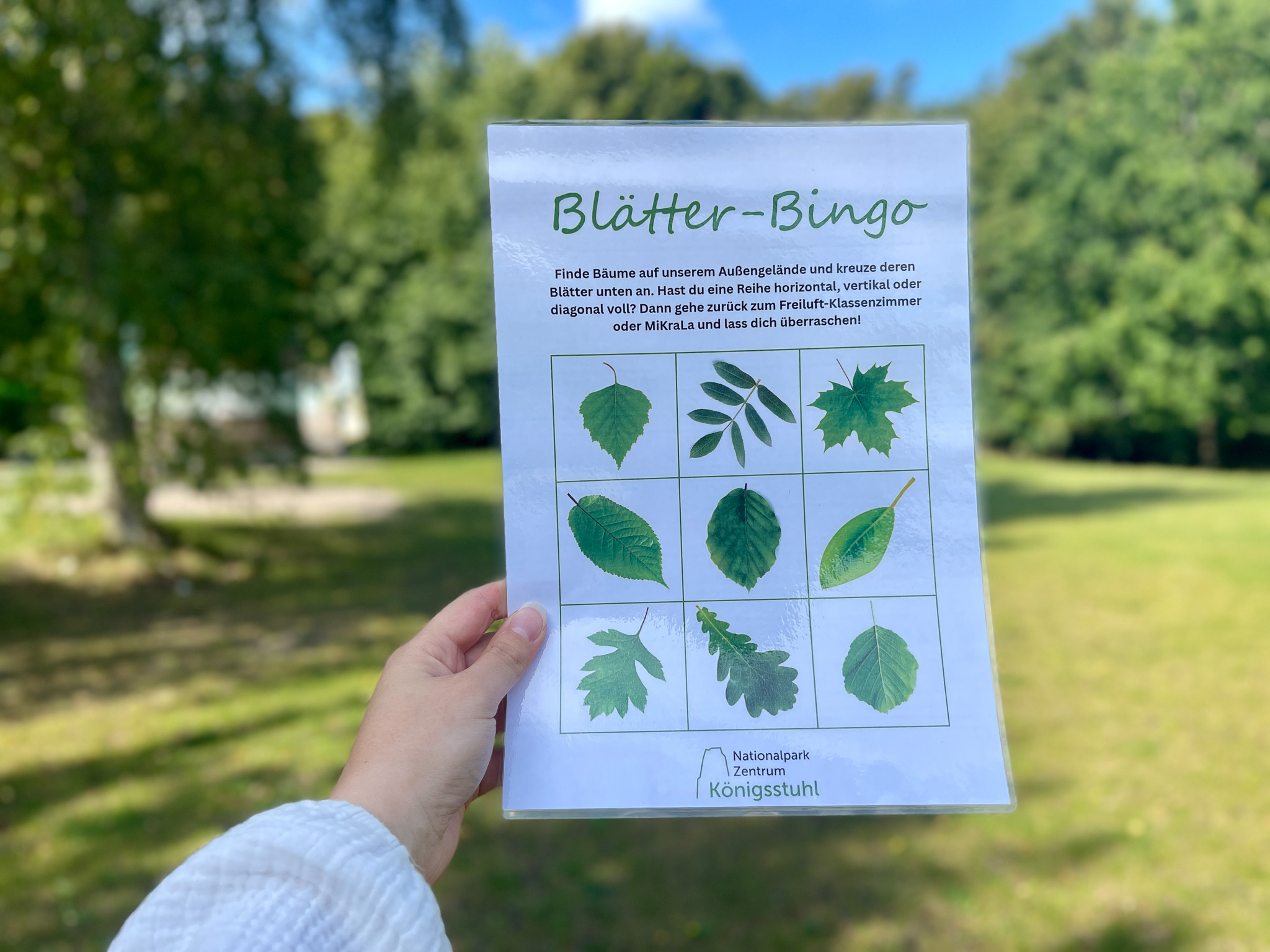Blätter-Bingo