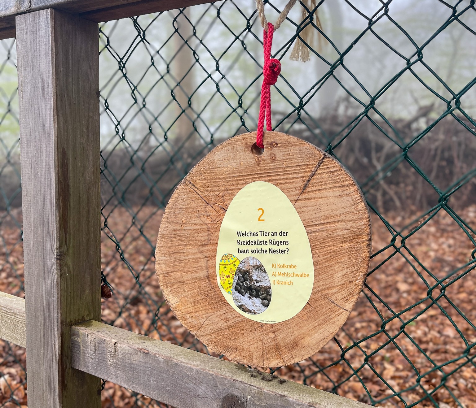 Frühlings-Rallye "Suchen, zählen, verstehen"