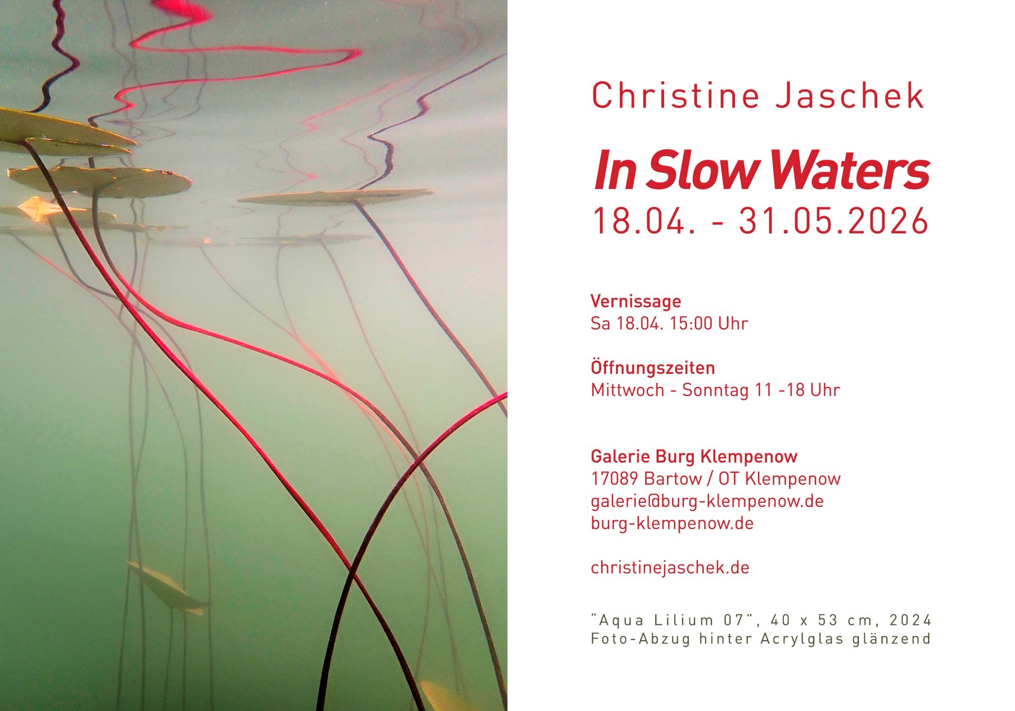 Christine Jaschek "In Slow Waters" - Unterwasserfotografie