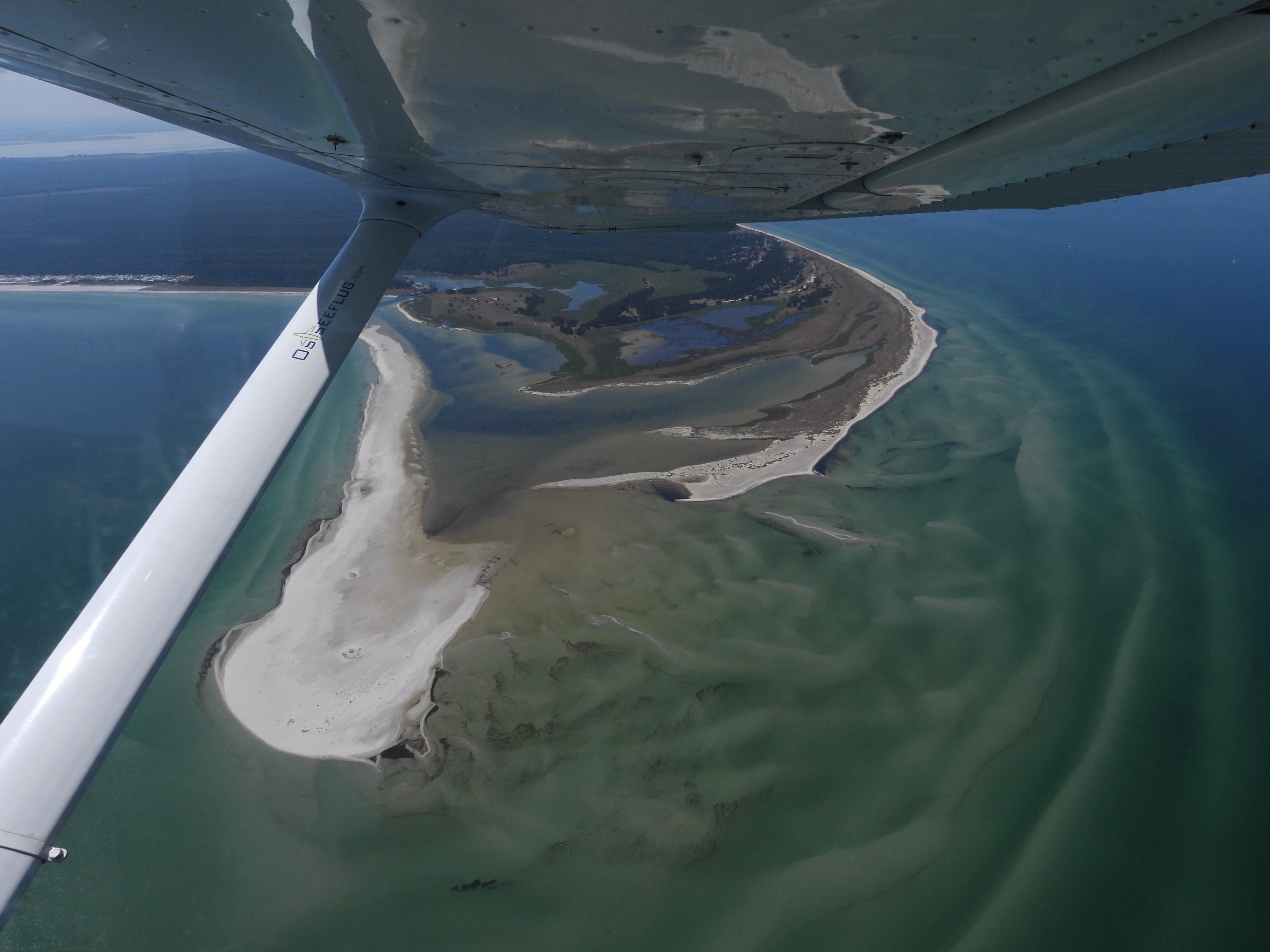 WWF-Erlebnistour: Der Darß – einzigartige Küstenlandschaft