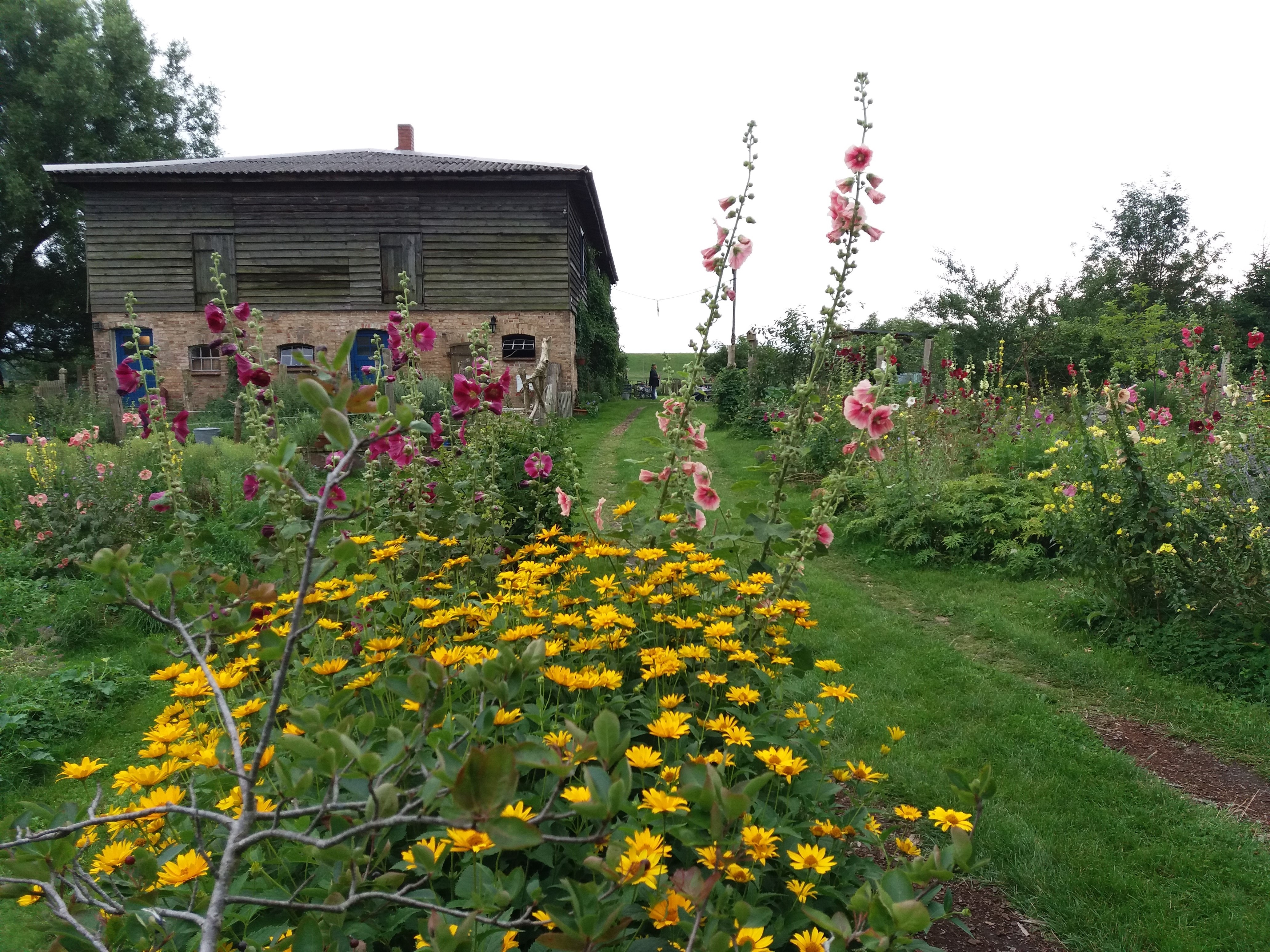 Tag der offenen Gartentür im Kräuterhof Carlsthal