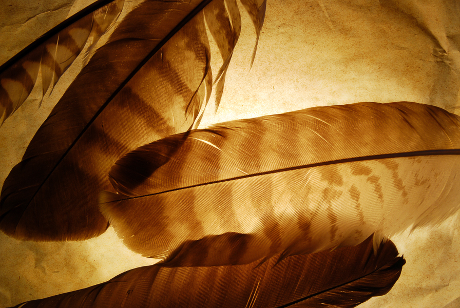 Familien-Entdecker-Tour "Spurendetektive unterwegs"