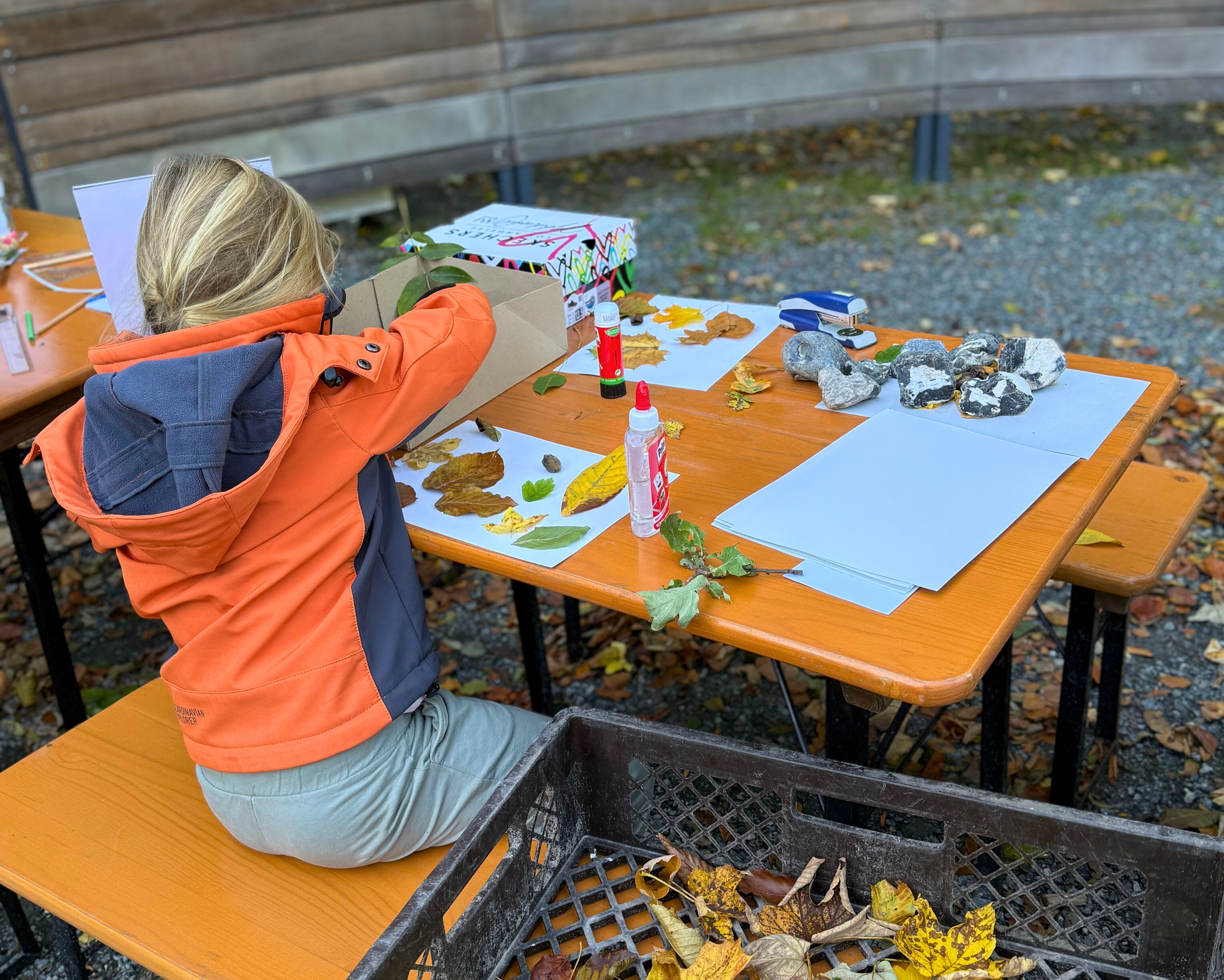 Herbstwerkstatt “Farbenfroh"