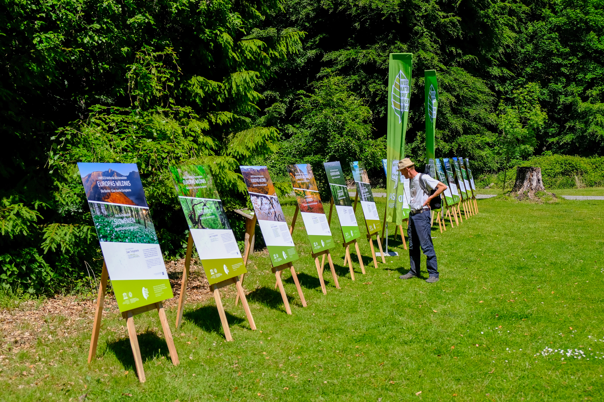 UNESCO-Welterbetag im Nationalpark Jasmund 