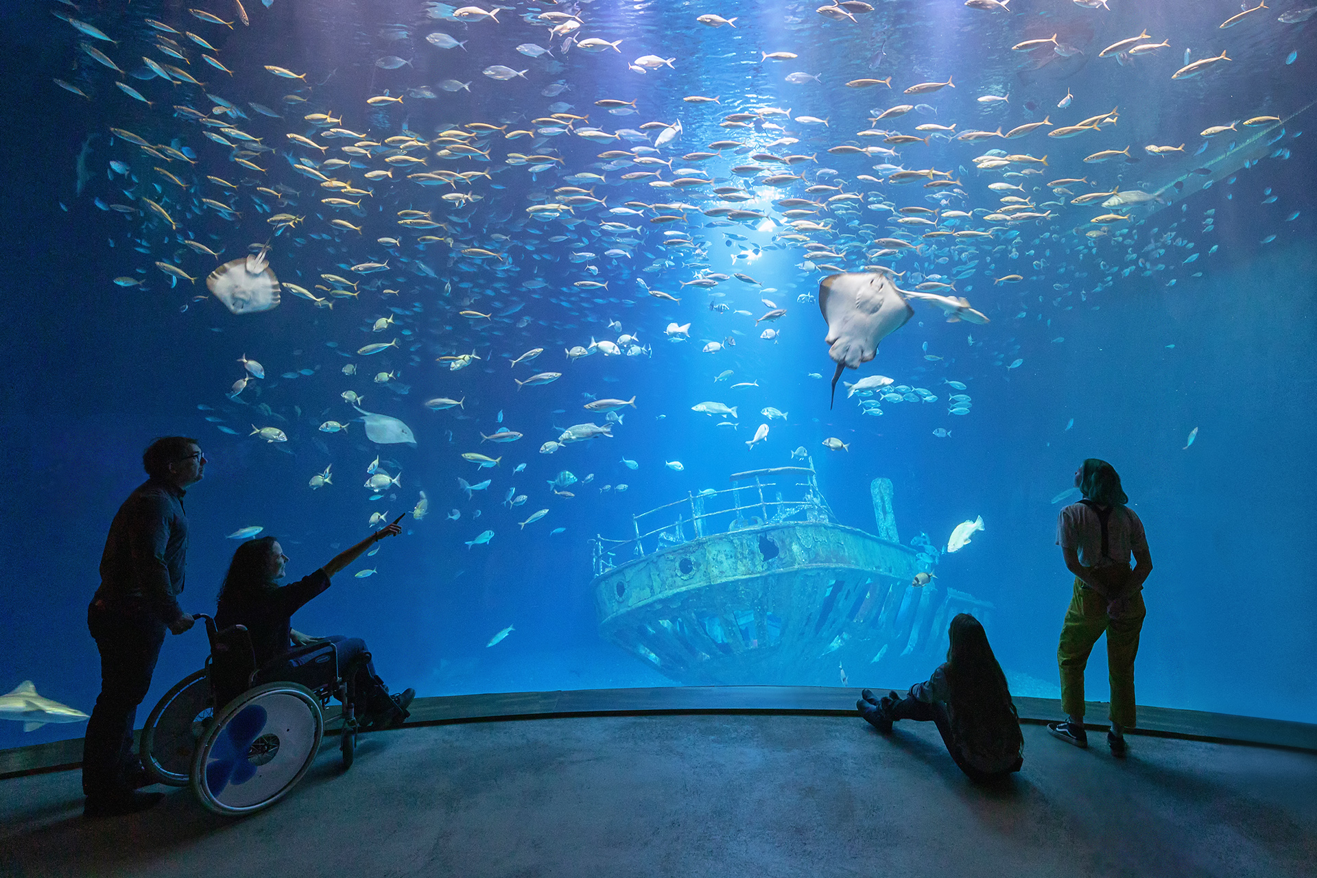 Fütterung: Aquarium „Offener Atlantik“