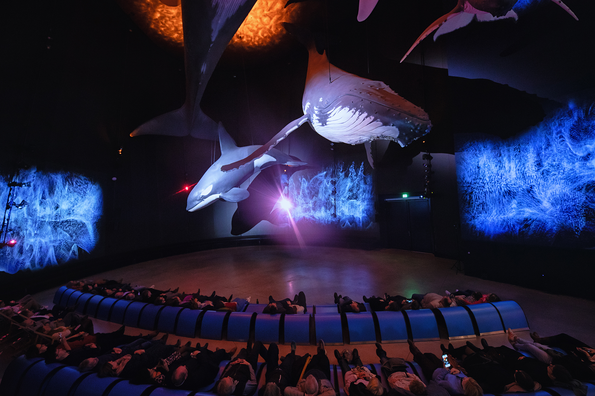 Kostenfreier Eintritt ins OZEANEUM