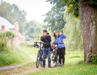 Schloss Ludwigsburg Zwei Menschen mit Fahrrad stehen an einem Baum und der Mann fotografiert etwas, während die Frau auf etwas zeigt
