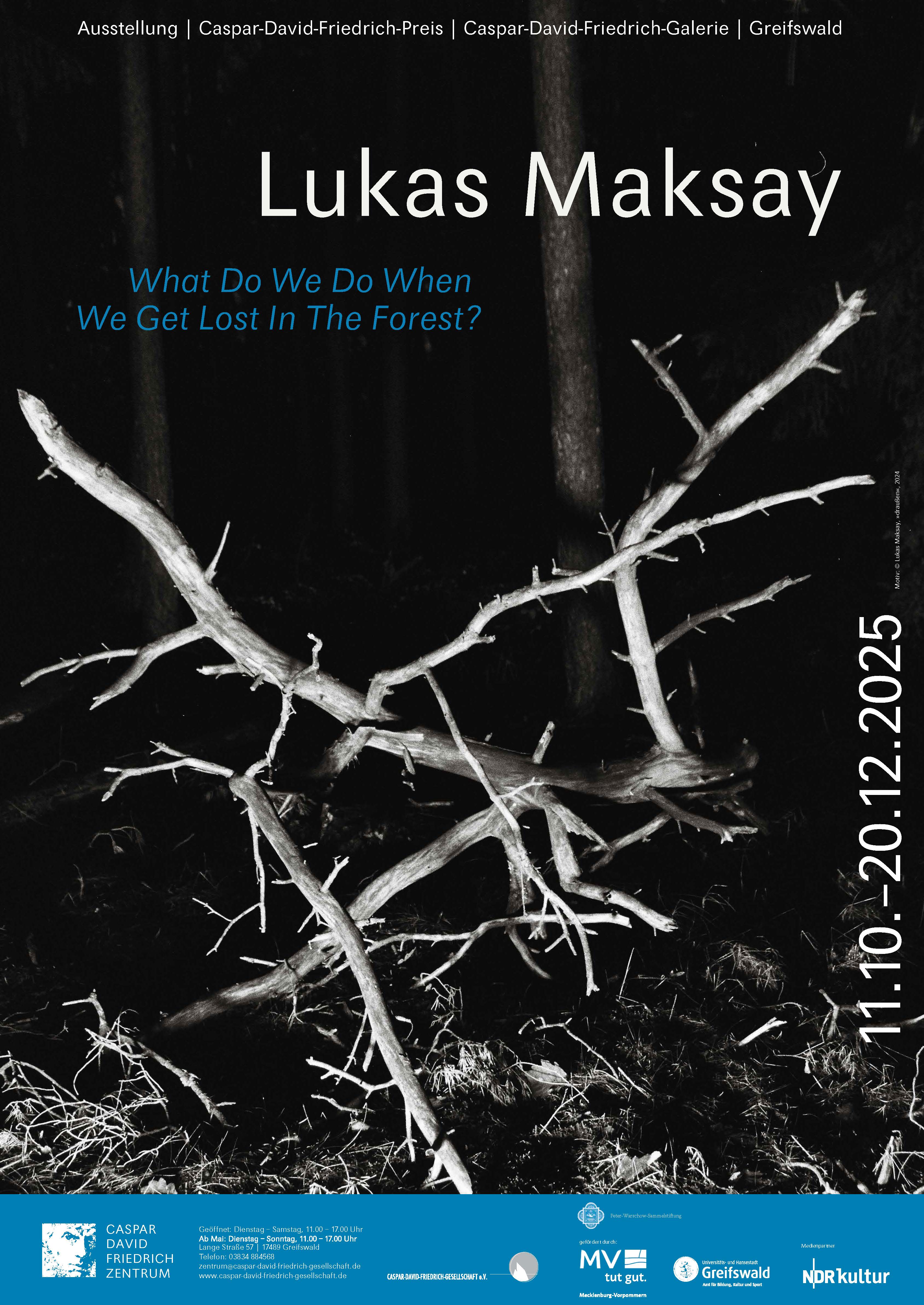 Lukas Maksay: What Do We Do When We Get Lost In The Forest?