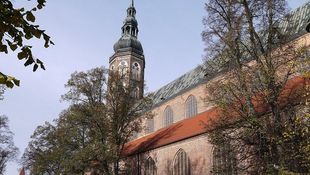 Greifswald Cathedral