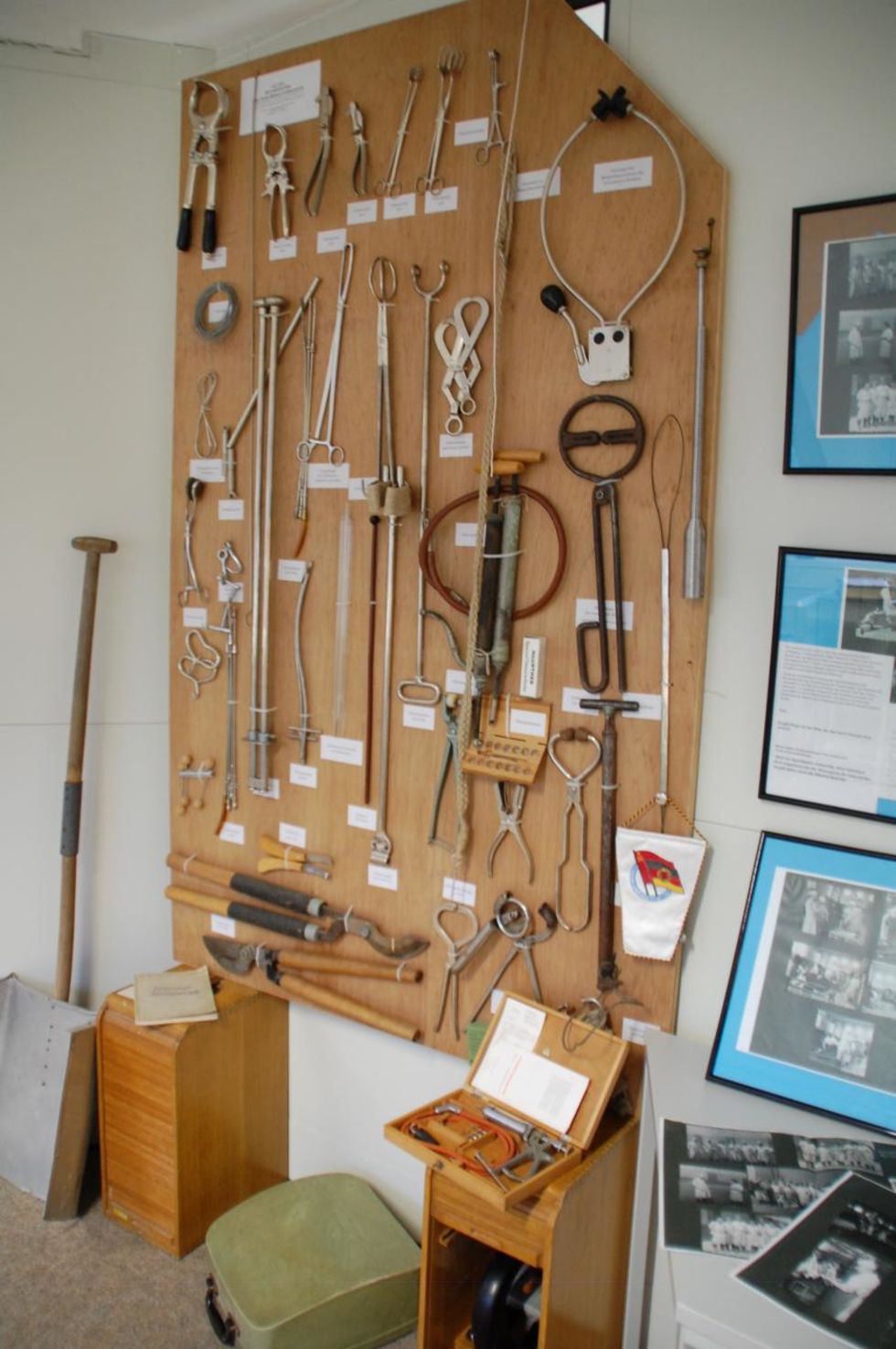 Display wall with veterinary instruments