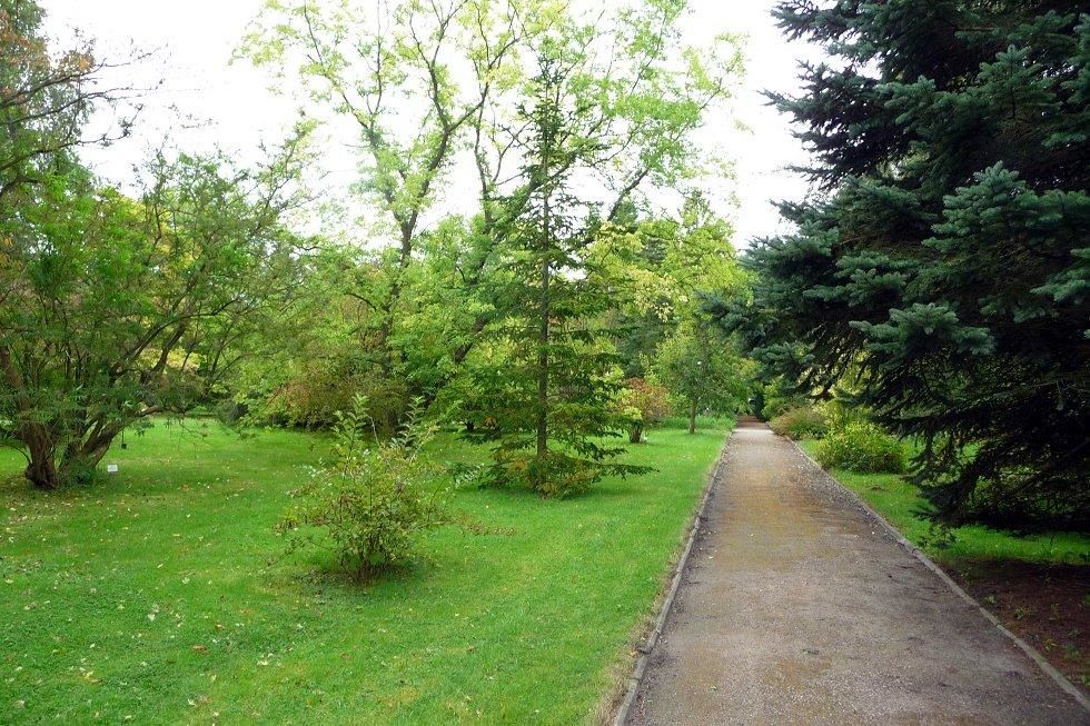 Arboretum (1)