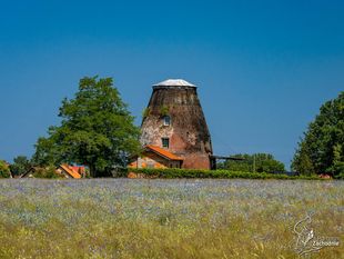 Holländerwindmühle Wolin