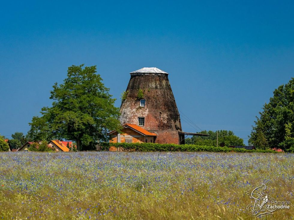 Dutch Windmill Wolin