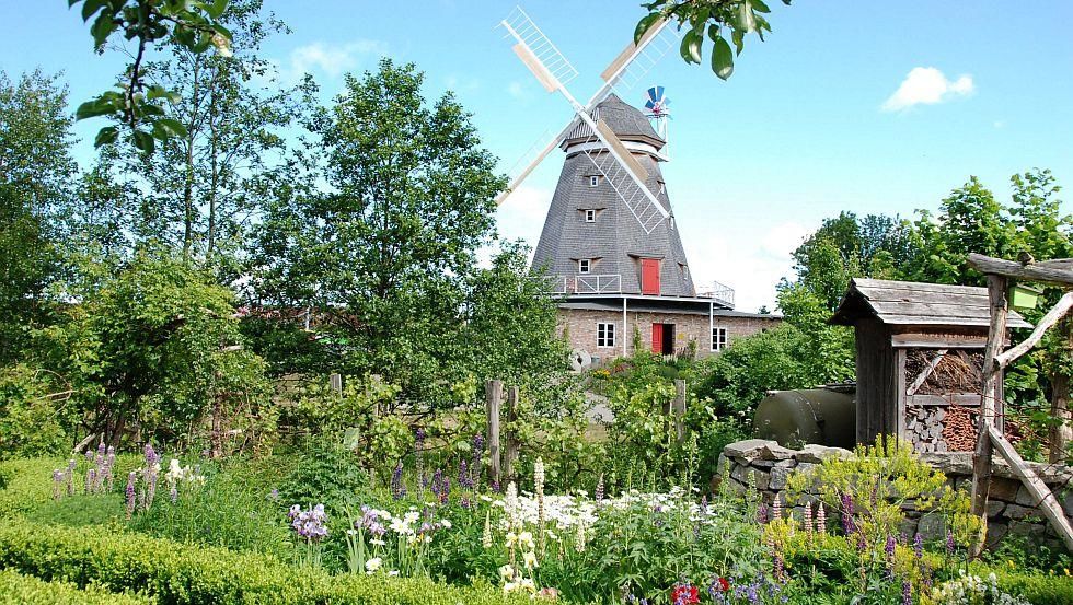 Die stattliche Holländerwindmühle im Zoo Stralsund gewährt einen Einblick in die Arbeitswelt vergangener Zeiten