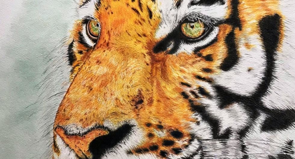 "Der Tiger" Polichrome Zeichnung 75X55 cm
