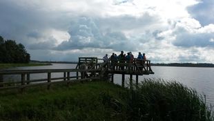 Viewing platform NSG Galenbecker Lake