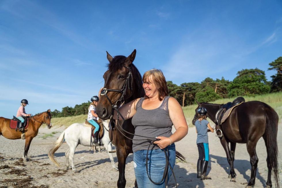Unsere Pferde sind geländesicher, ausgeglichen und sehr menschenbezogen / Reiterhof Bebber